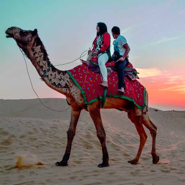 Things To Do Rajasthan